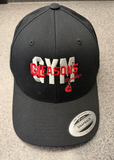 Baseball Hat